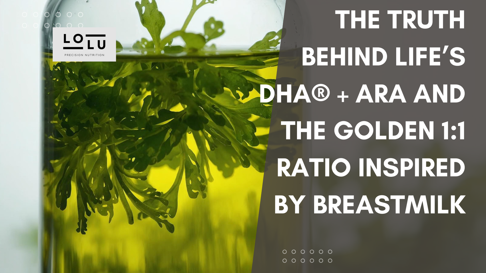 Not All Algal Oil Is Created Equal: The Truth Behind Life’sDHA® + ARA and the Golden 1:1 Ratio Inspired by Breastmilk