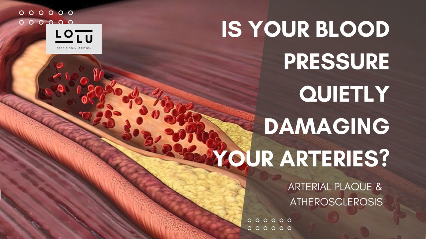 Arterial Plaque & Atherosclerosis: Is Your Blood Pressure Quietly Damaging Your Arteries?
