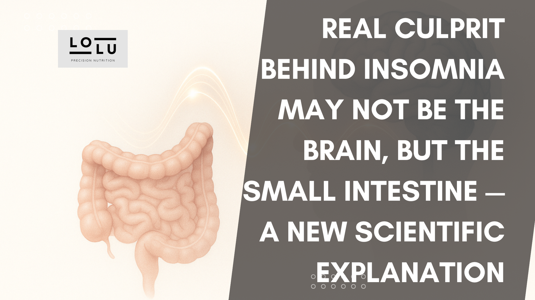 Real Culprit Behind Insomnia May Not Be the Brain, but the Small Intestine — A New Scientific Explanation