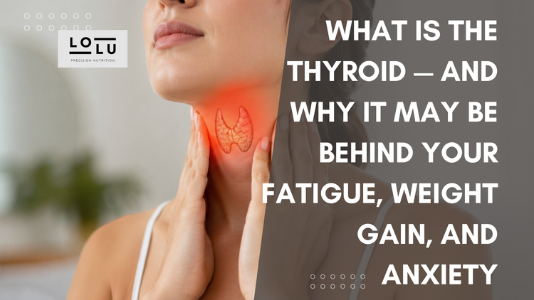 What Is the Thyroid? The Small Gland That Controls Your Weight, Energy, and Mood