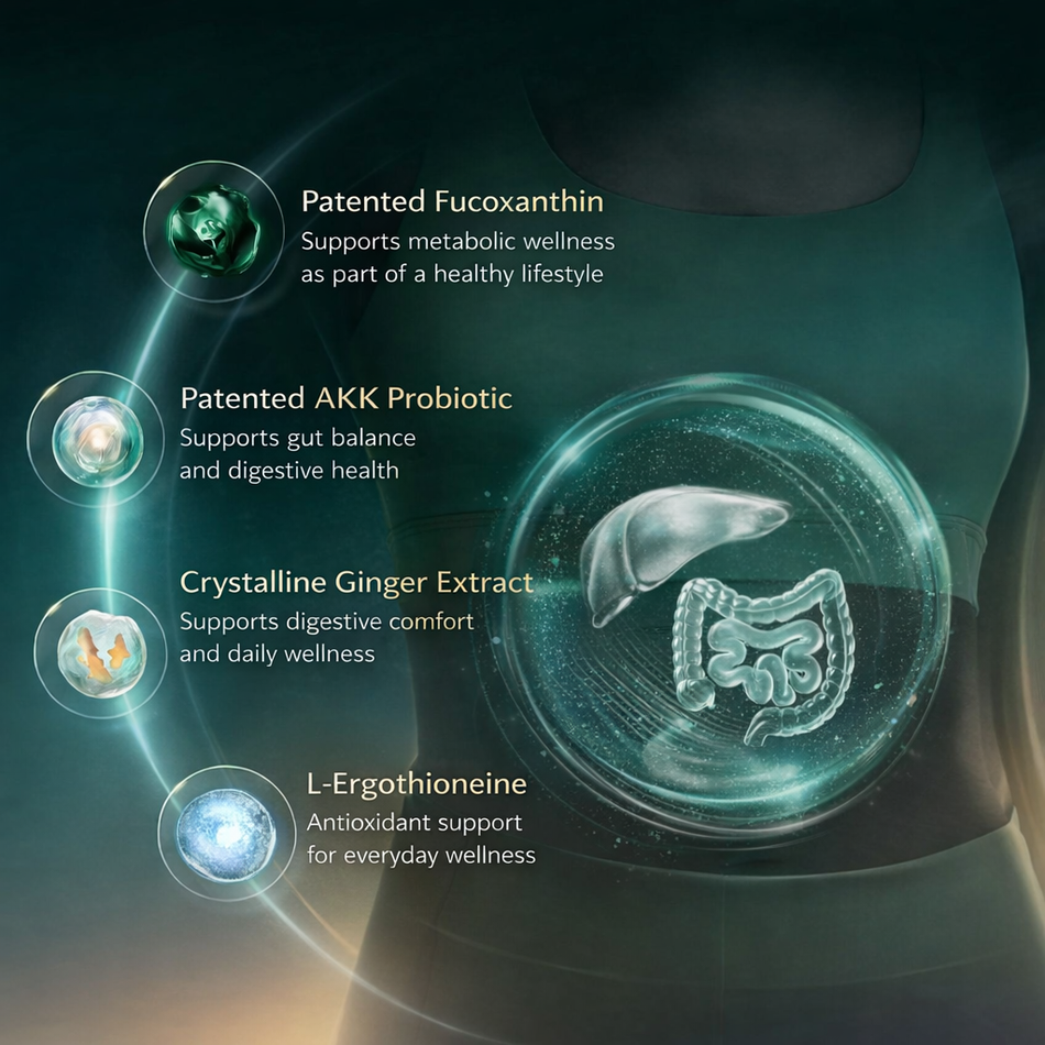 FineNutri® AKK Liver Metabolism Absolute Formula