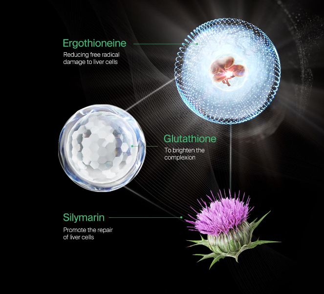 FineNutri® 女性肝臟排毒絕對配方